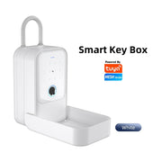 [APP Management] Tuya/TTLOCK Bluetooth Key Safe Box Outdoor Waterproof Wall Mounted Safety Box APP Remote Unlock Fingerprint Password Anti Theft Strongbox for Home